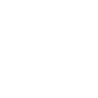 Finster logo